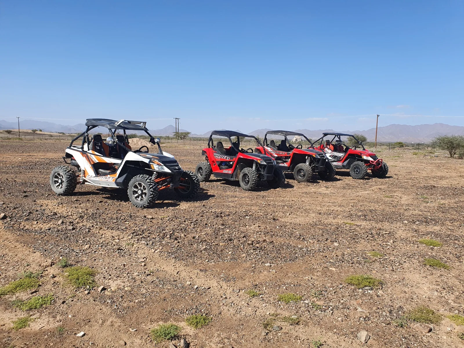 Several FOX ATVs side-by-side vehicles gathered on open ground in an archive photograph