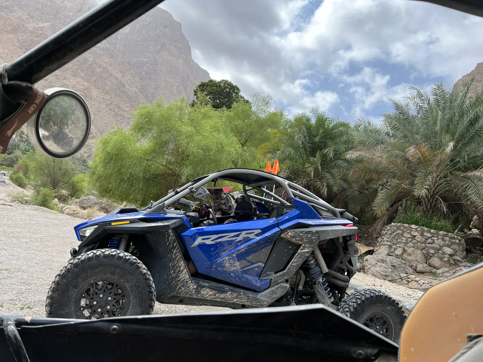 A blue Polaris RZR beside a palm-lined mountain road