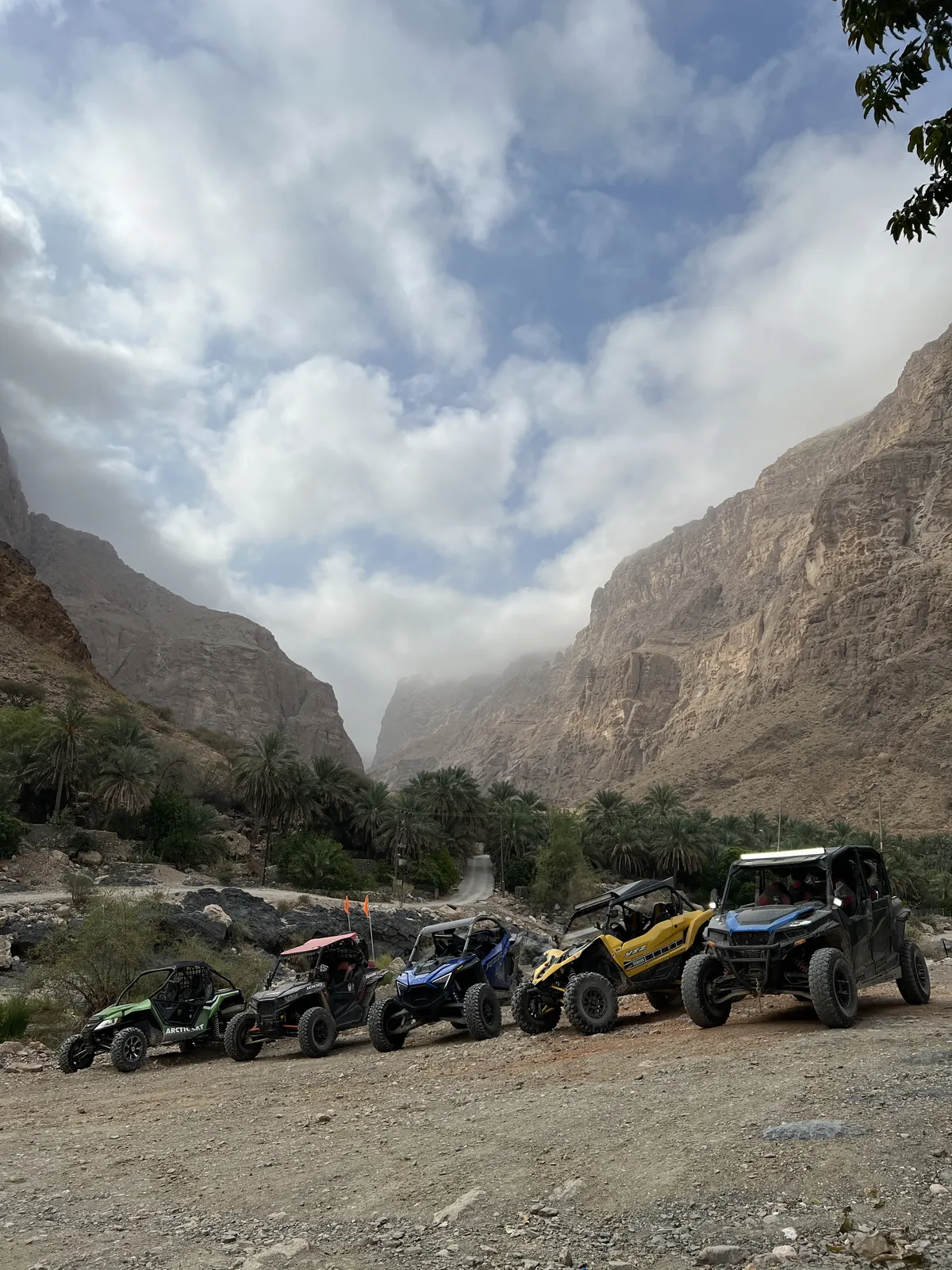 Palm trees and cliffs in Wadi Al Arbaeen, with expedition vehicles below