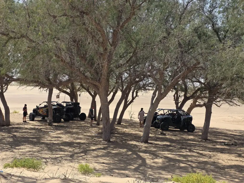 FOX ATVs vehicles parked beneath desert trees during a shade stop