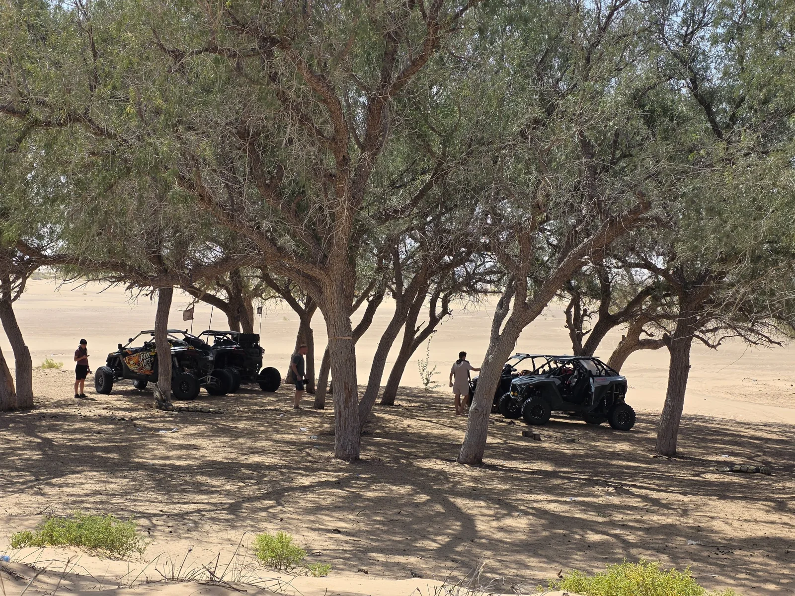 FOX ATVs vehicles parked beneath desert trees during a shade stop