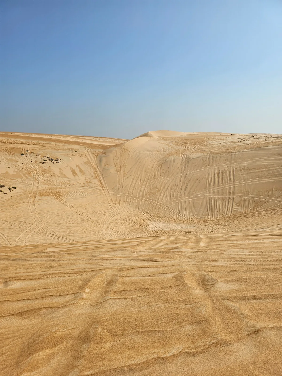 Tyre tracks descending into a broad sand bowl in Wahiba Sands