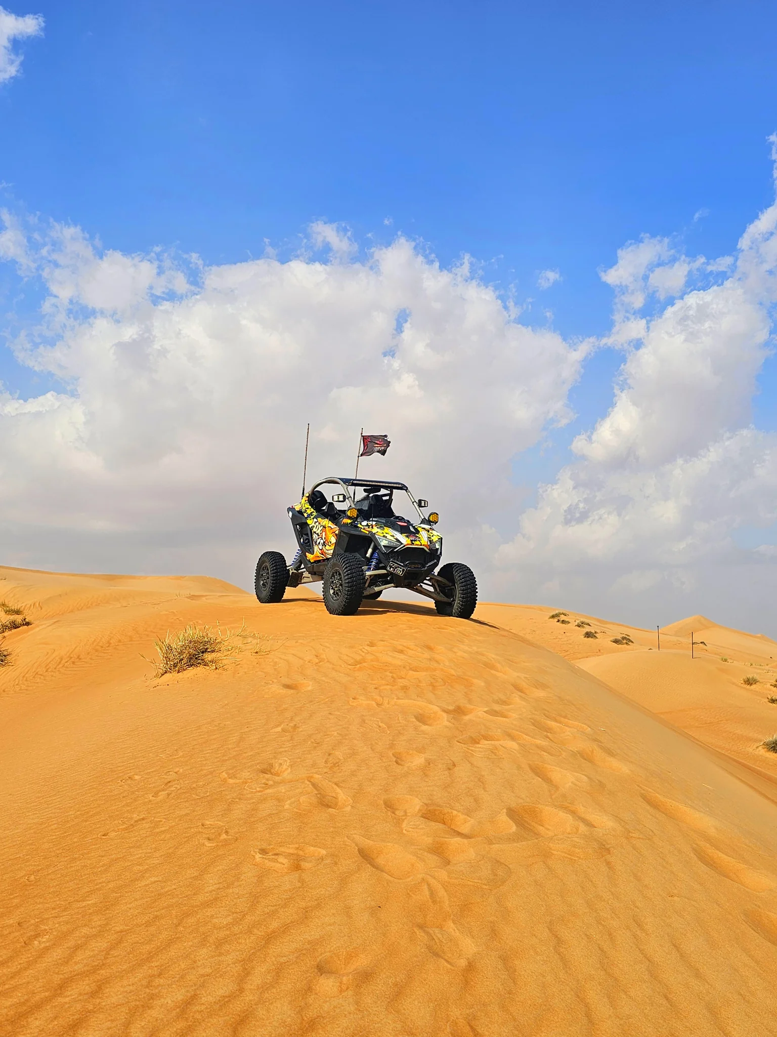 FOXATVs buggy near the crest of a dune