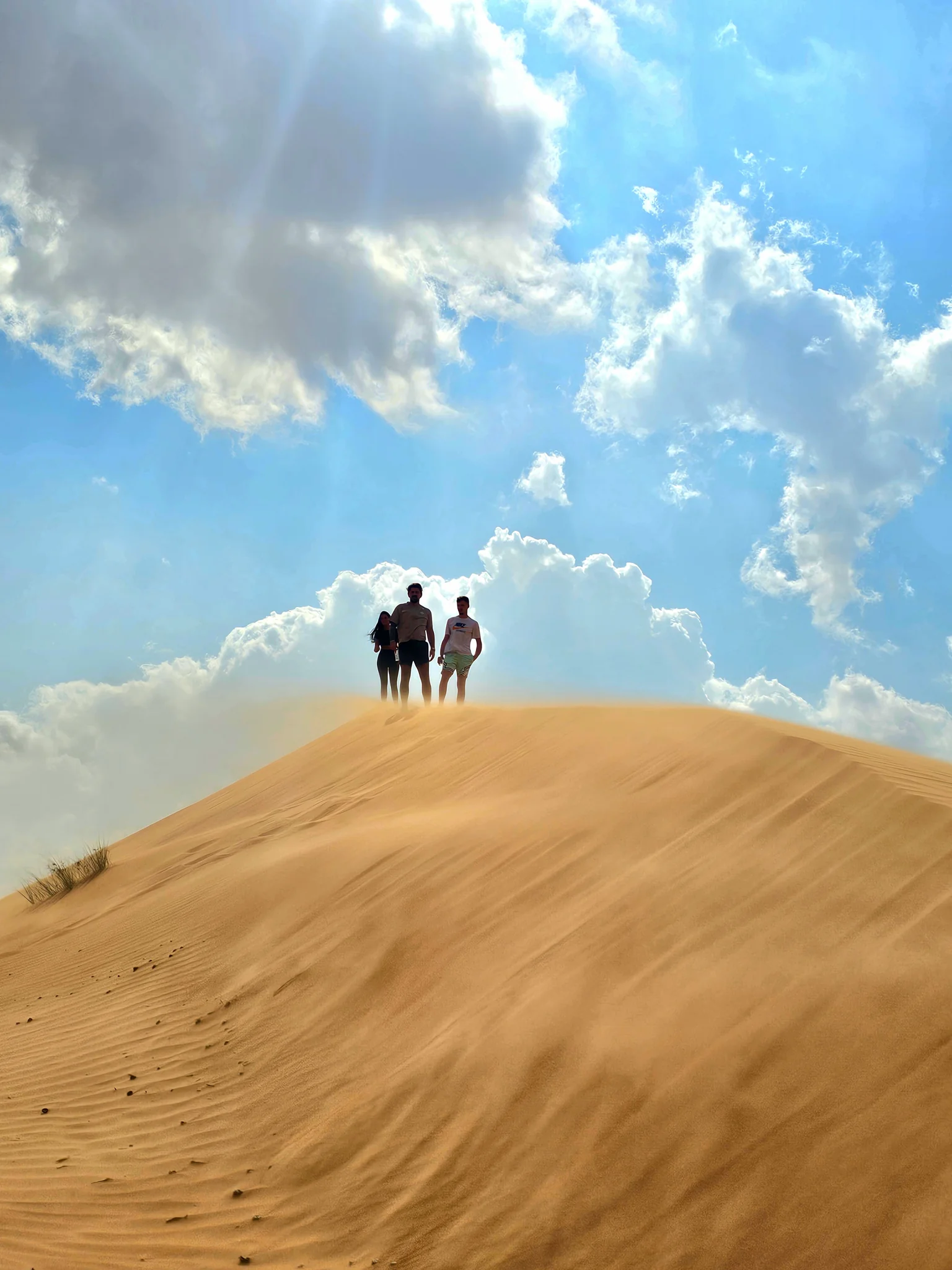 Guests taking in the view from a dune