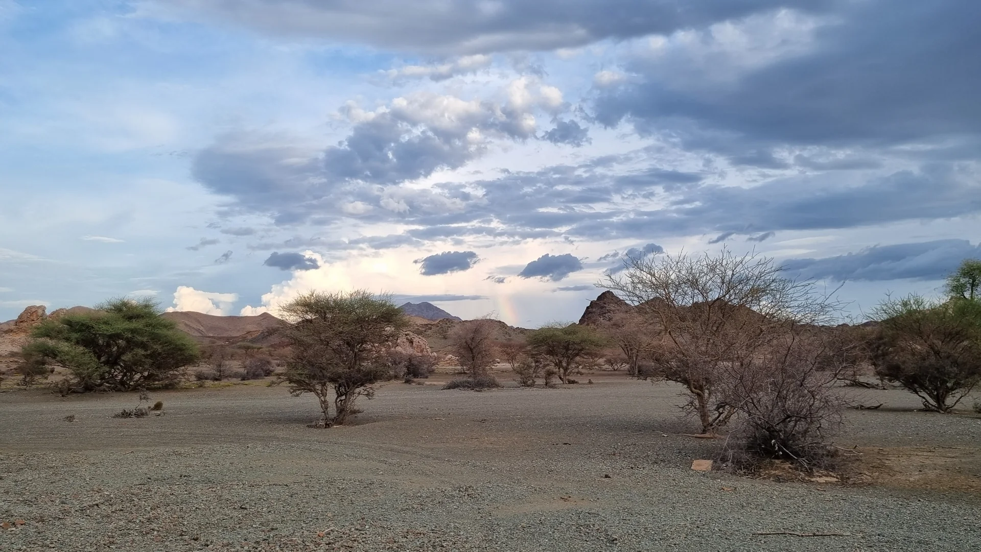 Open wadi terrain, scattered trees and rocky hills beneath a cloudy sky