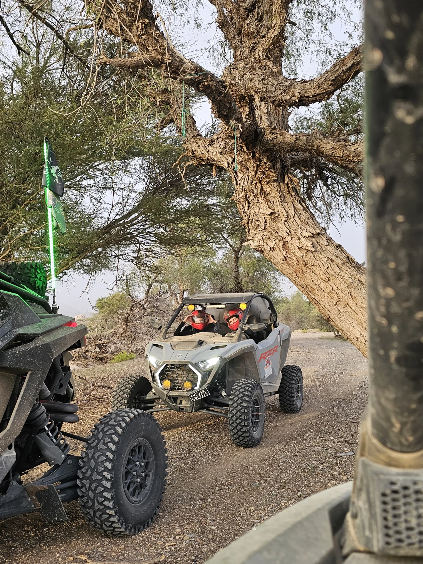 A side-by-side vehicle on a tree-lined Wadi Al Rak route
