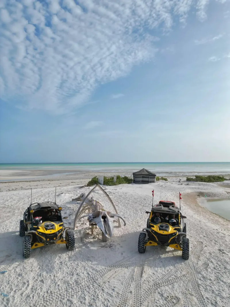 Two FOXATVs buggies facing the open coastline in Oman