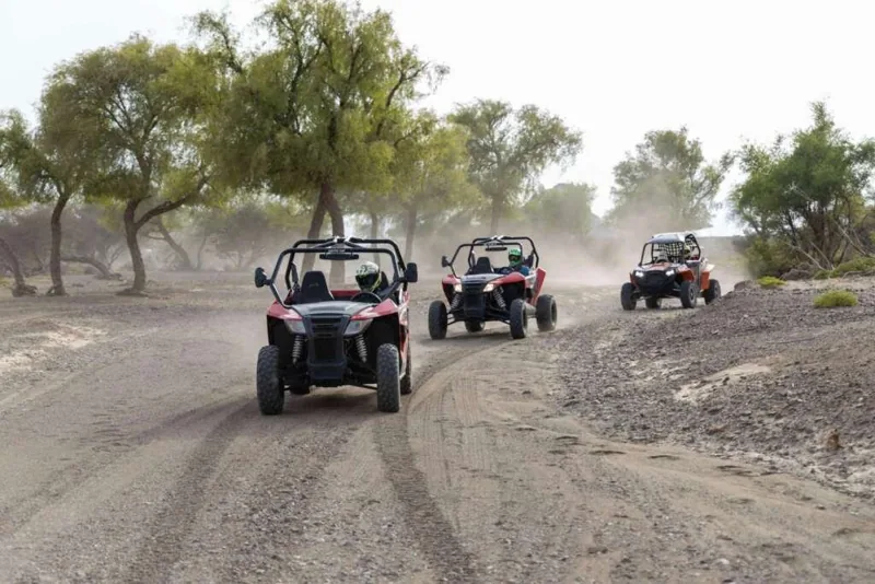 A guided buggy convoy following the rocky Wadi Al Rak trail